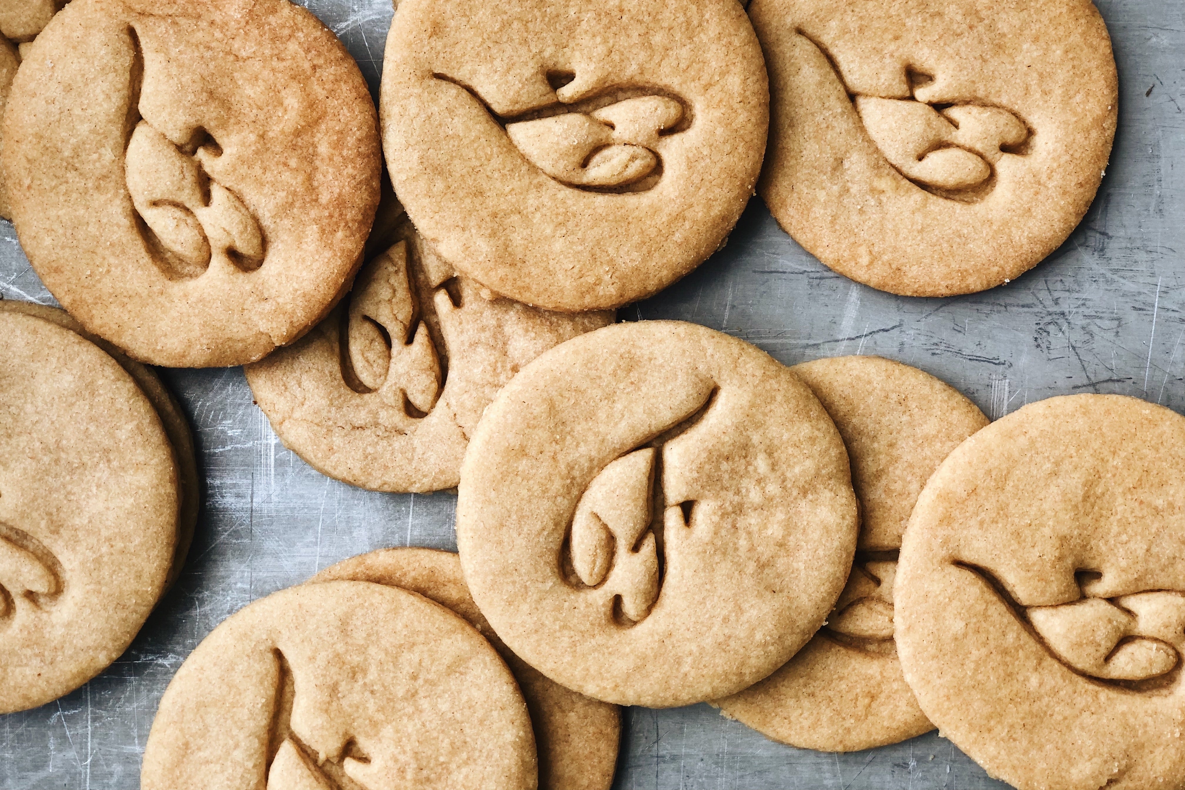 Sugar Cookies
&ndash; Flourist