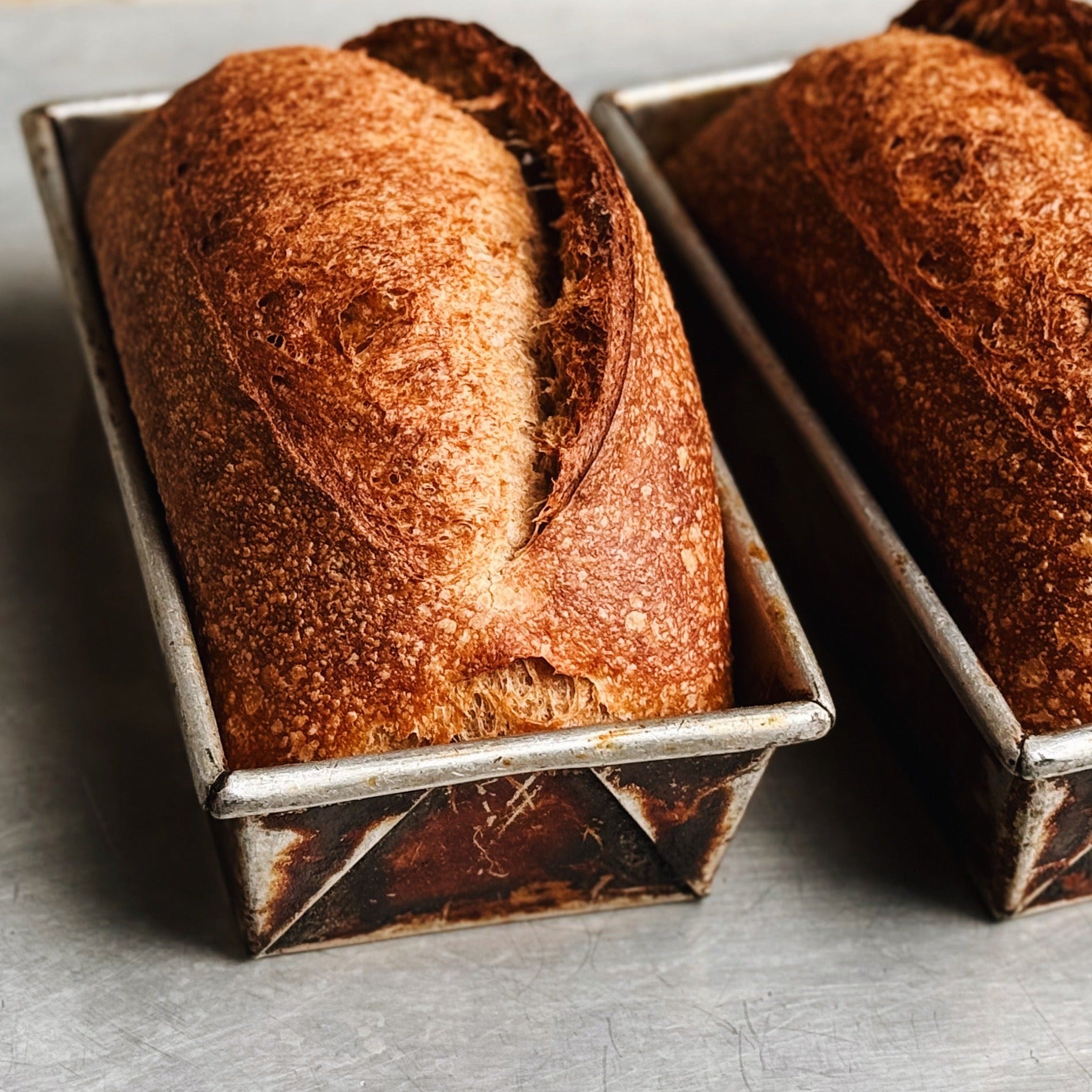 Sourdough Pan Loaf