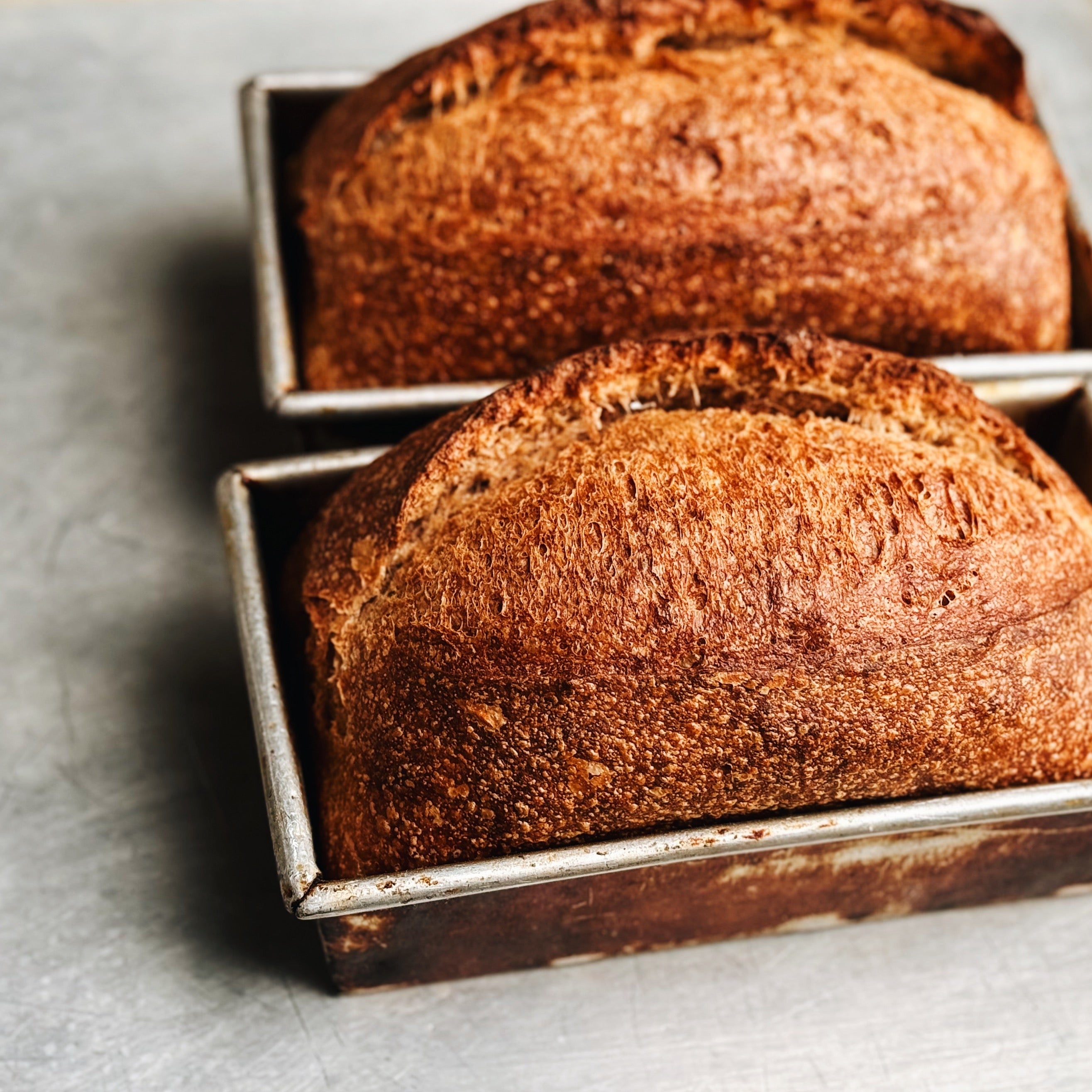 Sourdough Pan Loaf – Flourist - Main Image