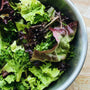 UBC Farm Organic Lettuce Mix