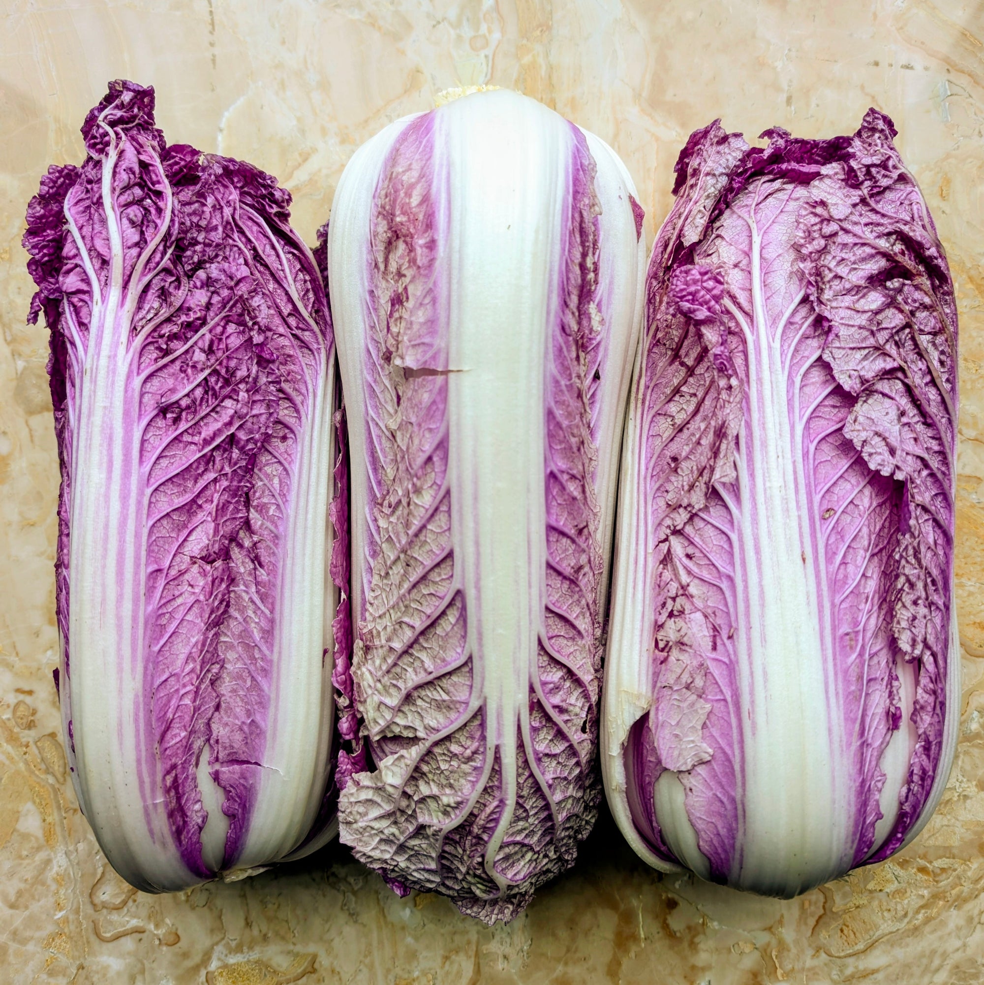 North Arm Farm Red Napa Cabbage