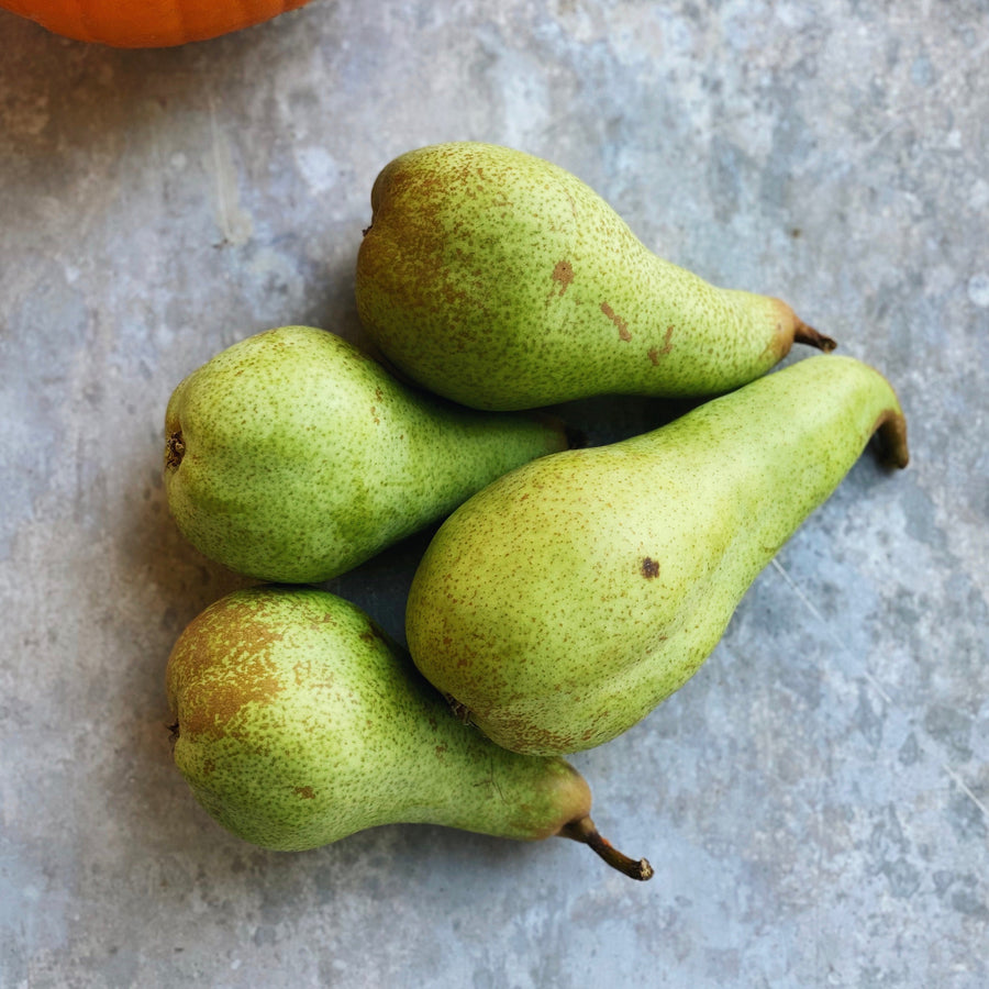 4 Pack Organic Abate Fetel Pears