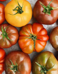 BC Grown Organic Heirloom Tomatoes