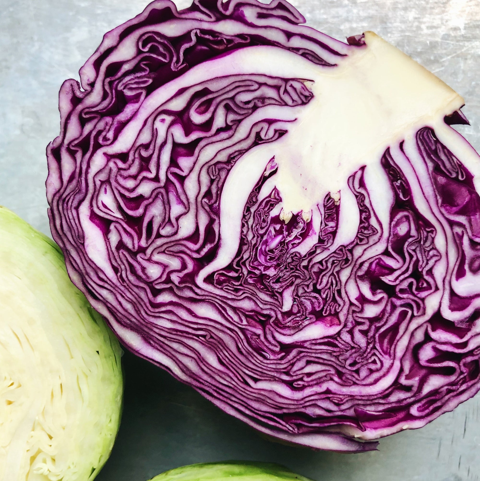 North Arm Farm BC Grown Red Cabbage