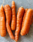UBC Farm Organic BC Grown Carrots