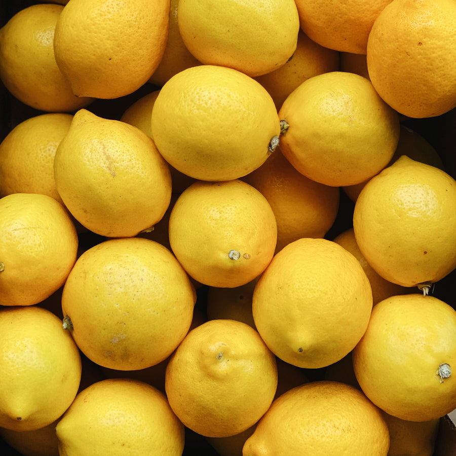 Single Large Organic Meyer Lemon