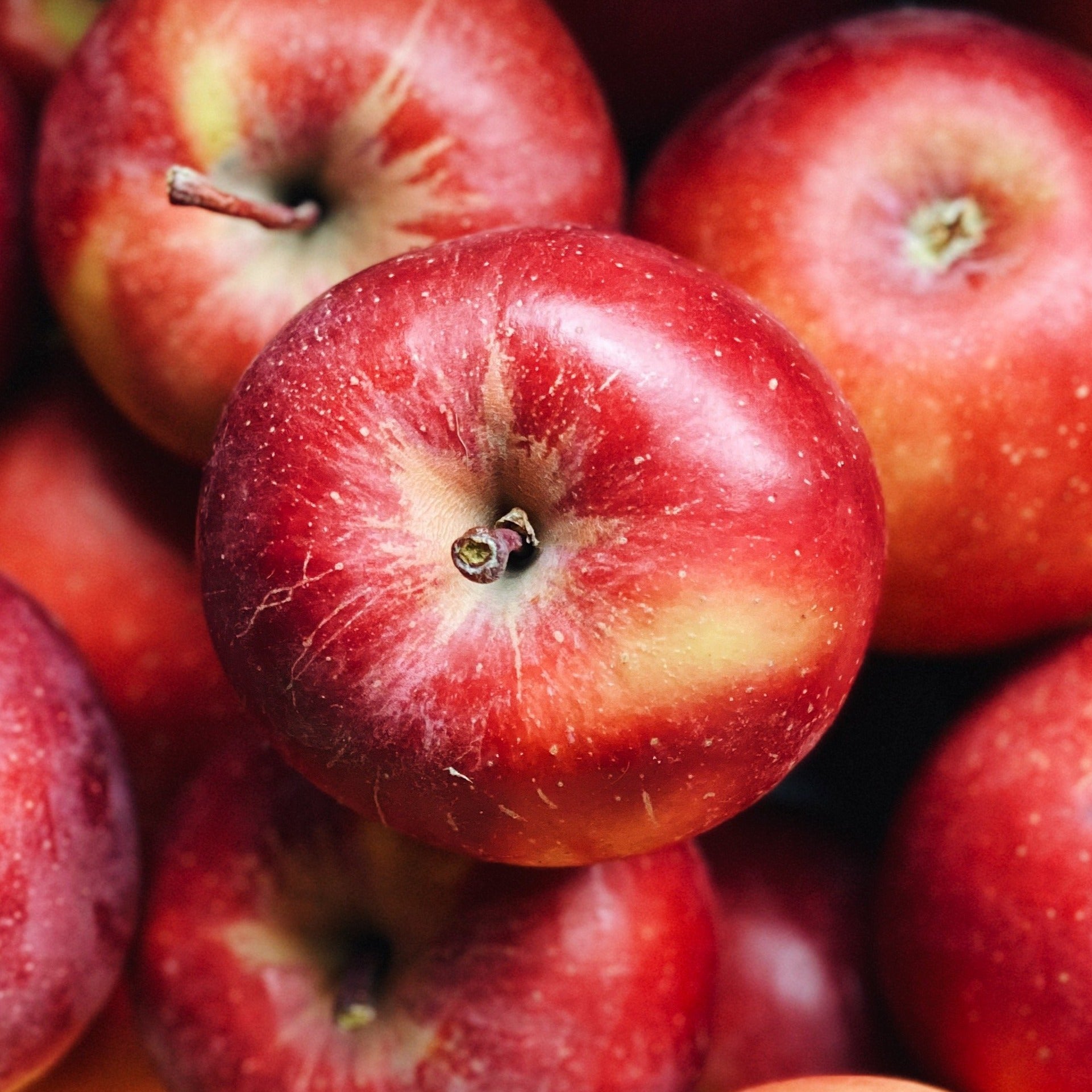 BC Grown Premium Salish Apples