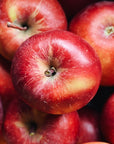 BC Grown Premium Salish Apples
