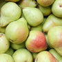 BC Grown Premium Harrow Crisp Pears