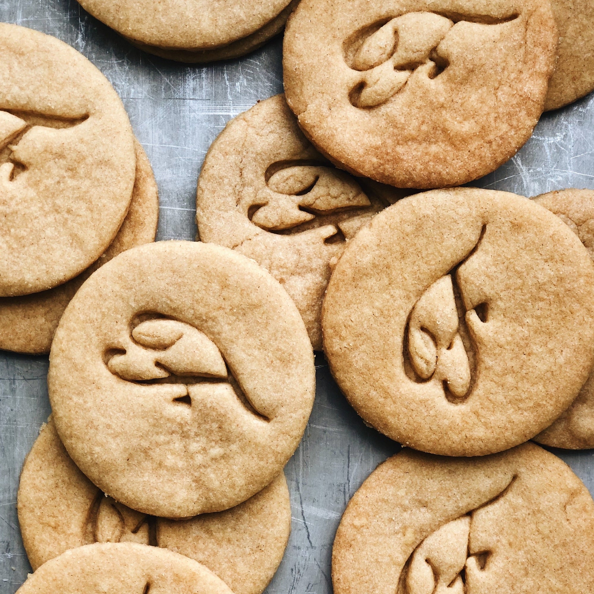 Sugar Cookies