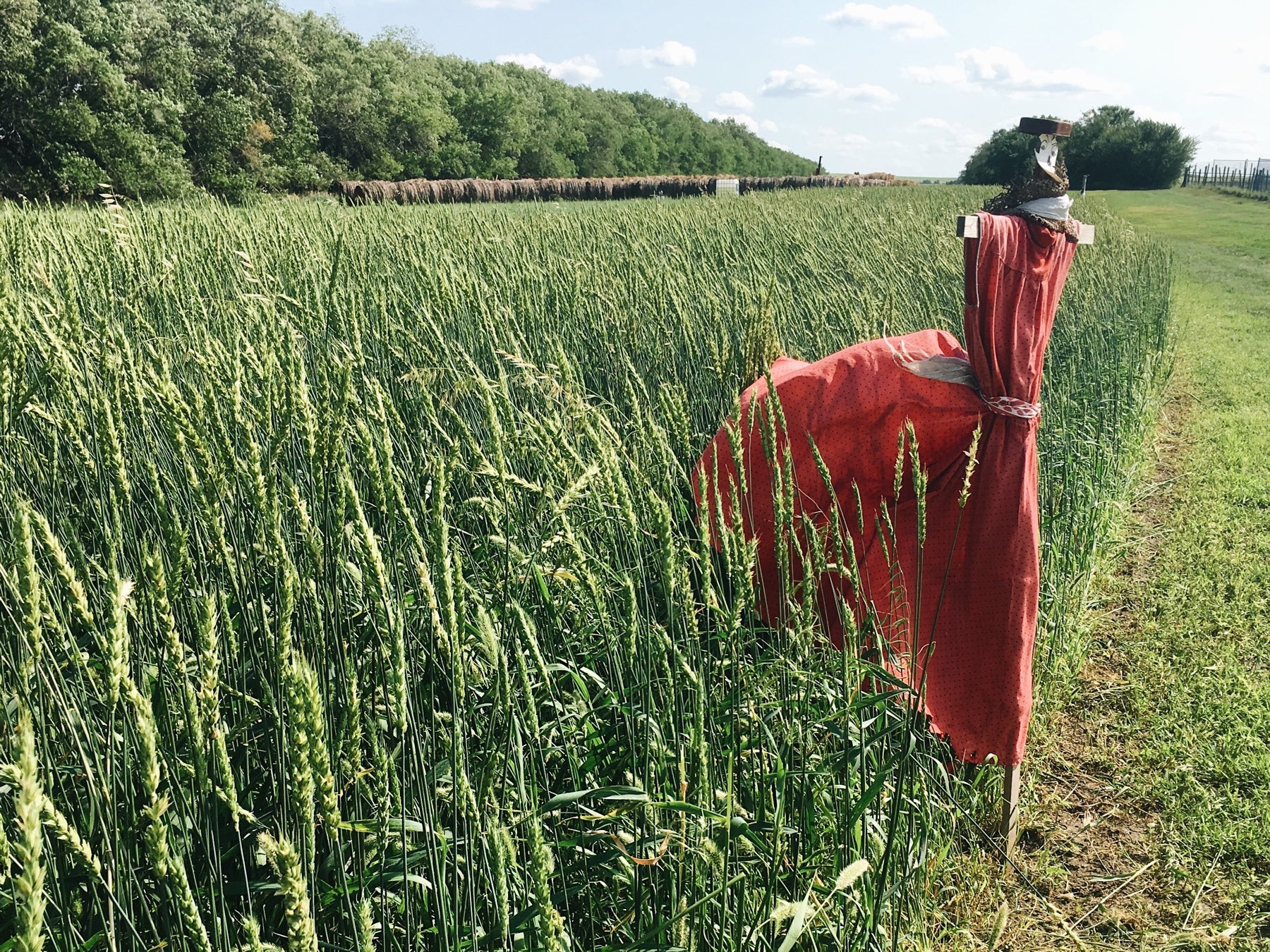 Farm Spotlight - Loiselle Organic Family Farm