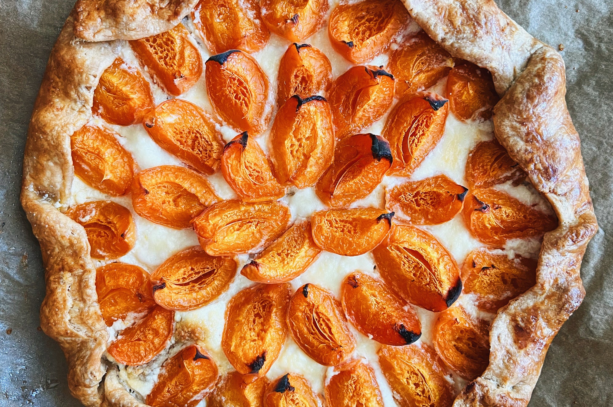 Apricot + Honey Ricotta Galette