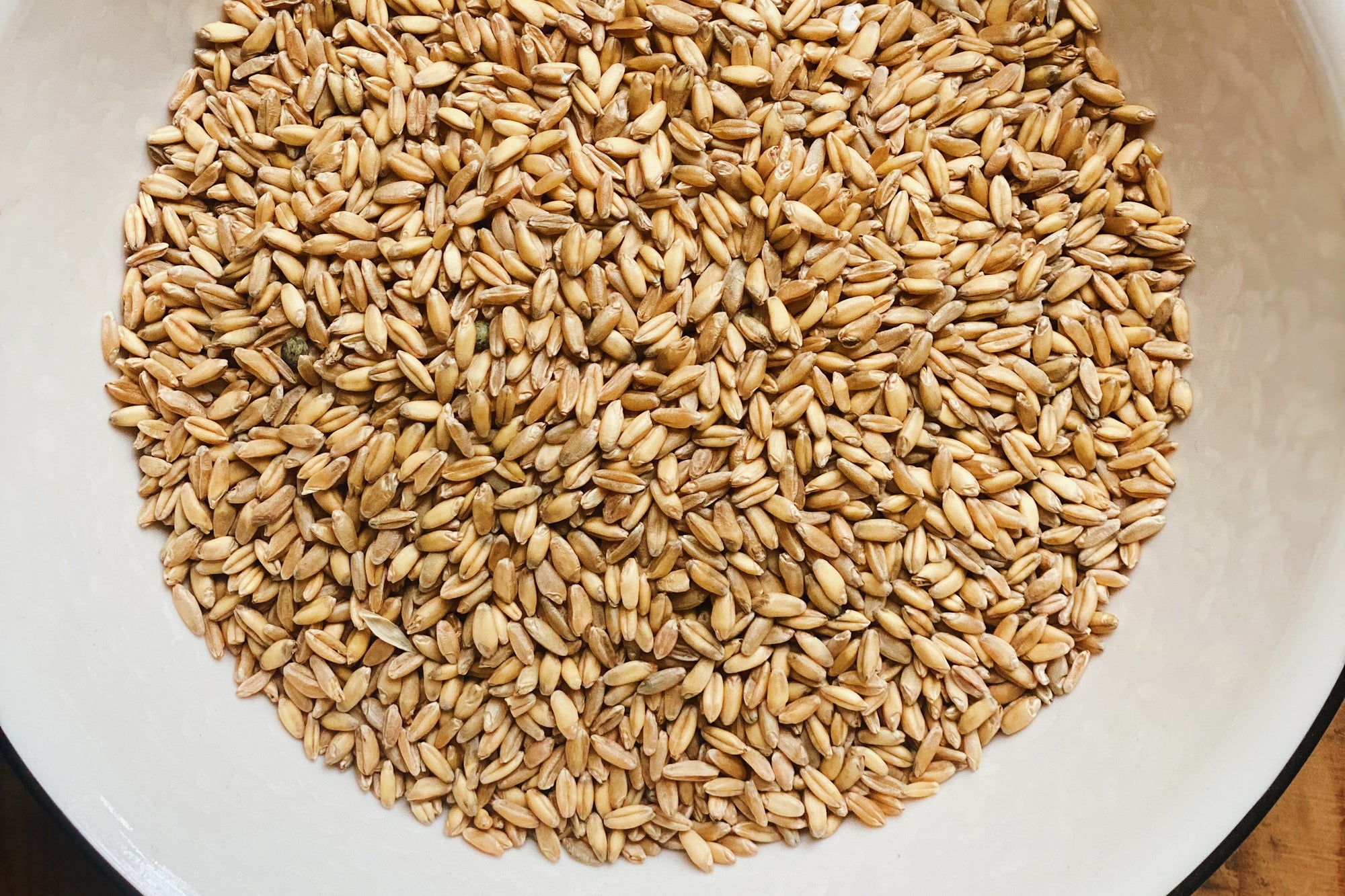 A Deeper Dive Into Durum