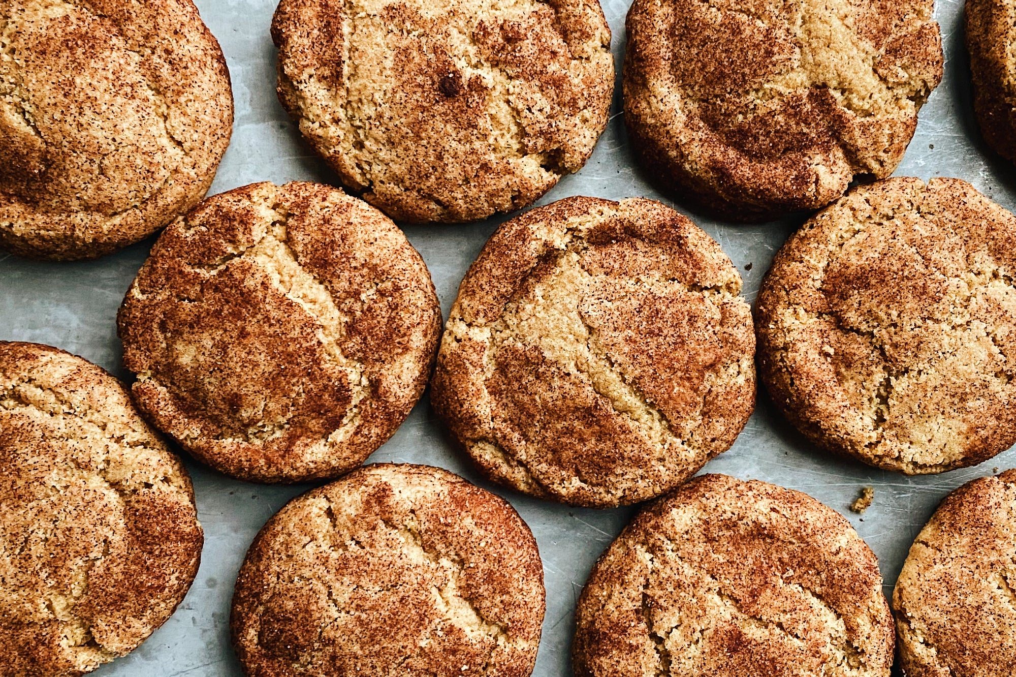 Spelt Snickerdoodles