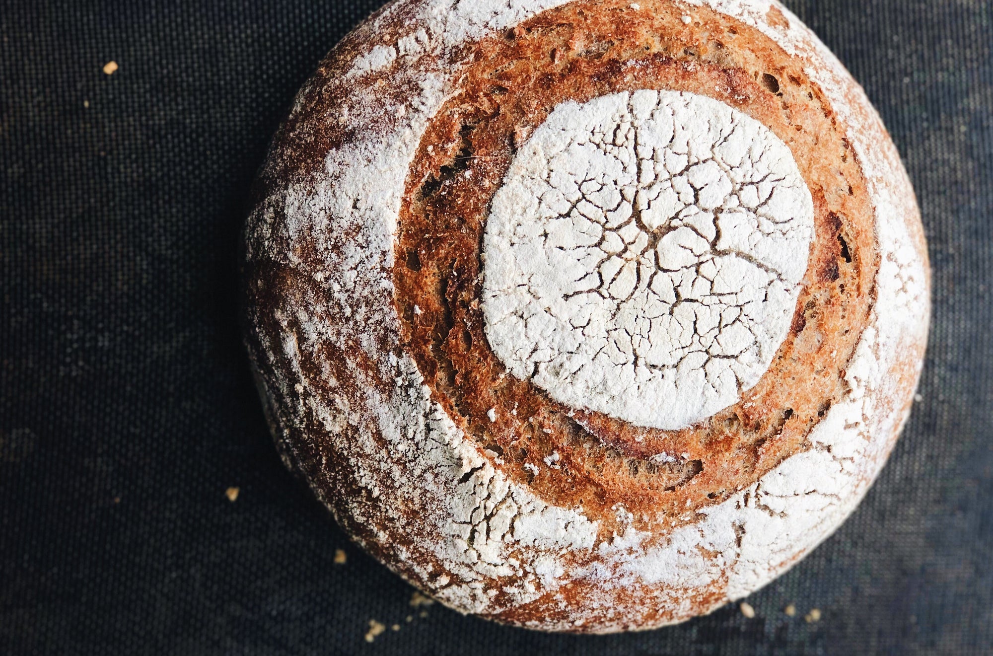 Whole Grain Sourdough Boule