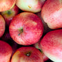 BC Grown Organic Gala Apples
