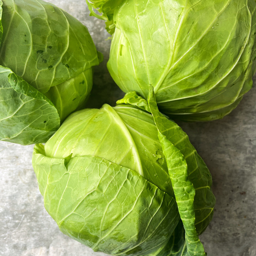 BC Organic Green Cabbage