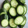 Athiana Acres Snacking Cucumber