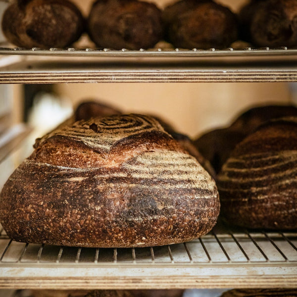 Sourdough Pan Loaves – Flourist