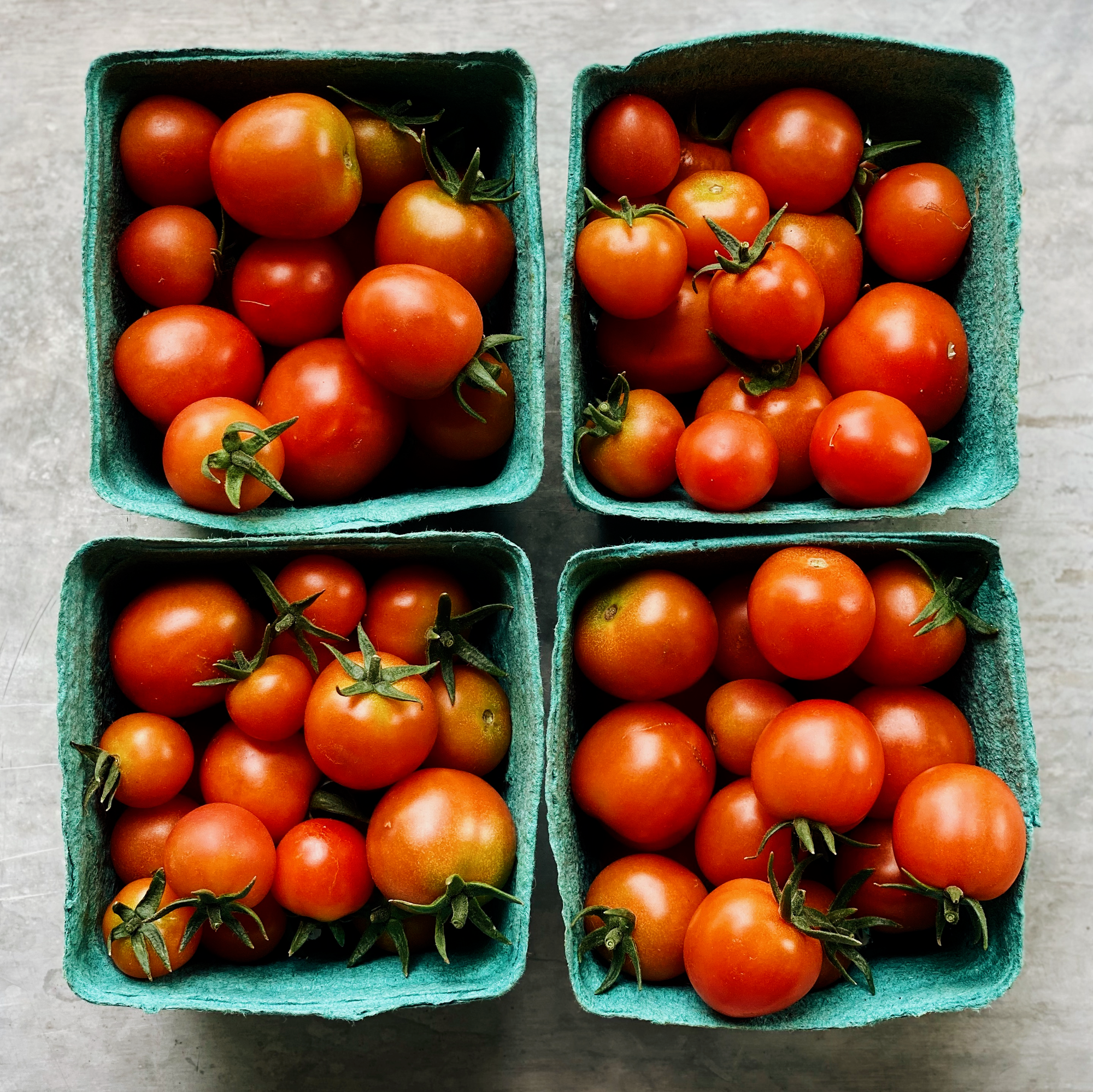 BC Grown Grape Cherry Tomatoes