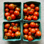 BC Grown Grape Cherry Tomatoes