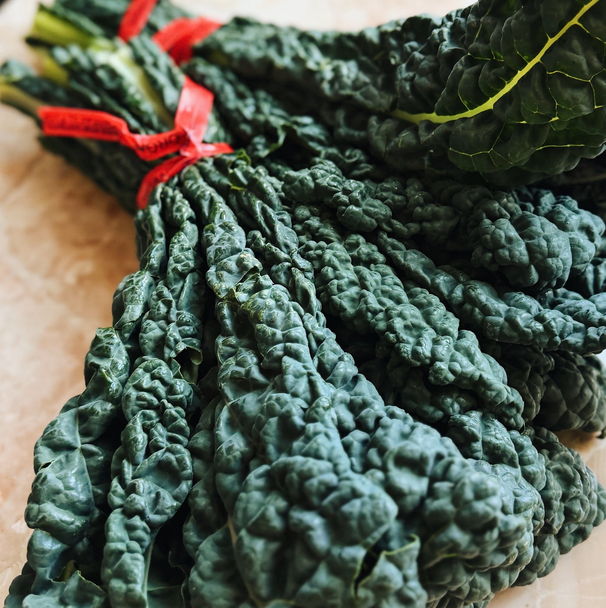 BC Grown Lacinato Kale Bunch