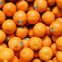 Sweet Seedless Organic Clementines