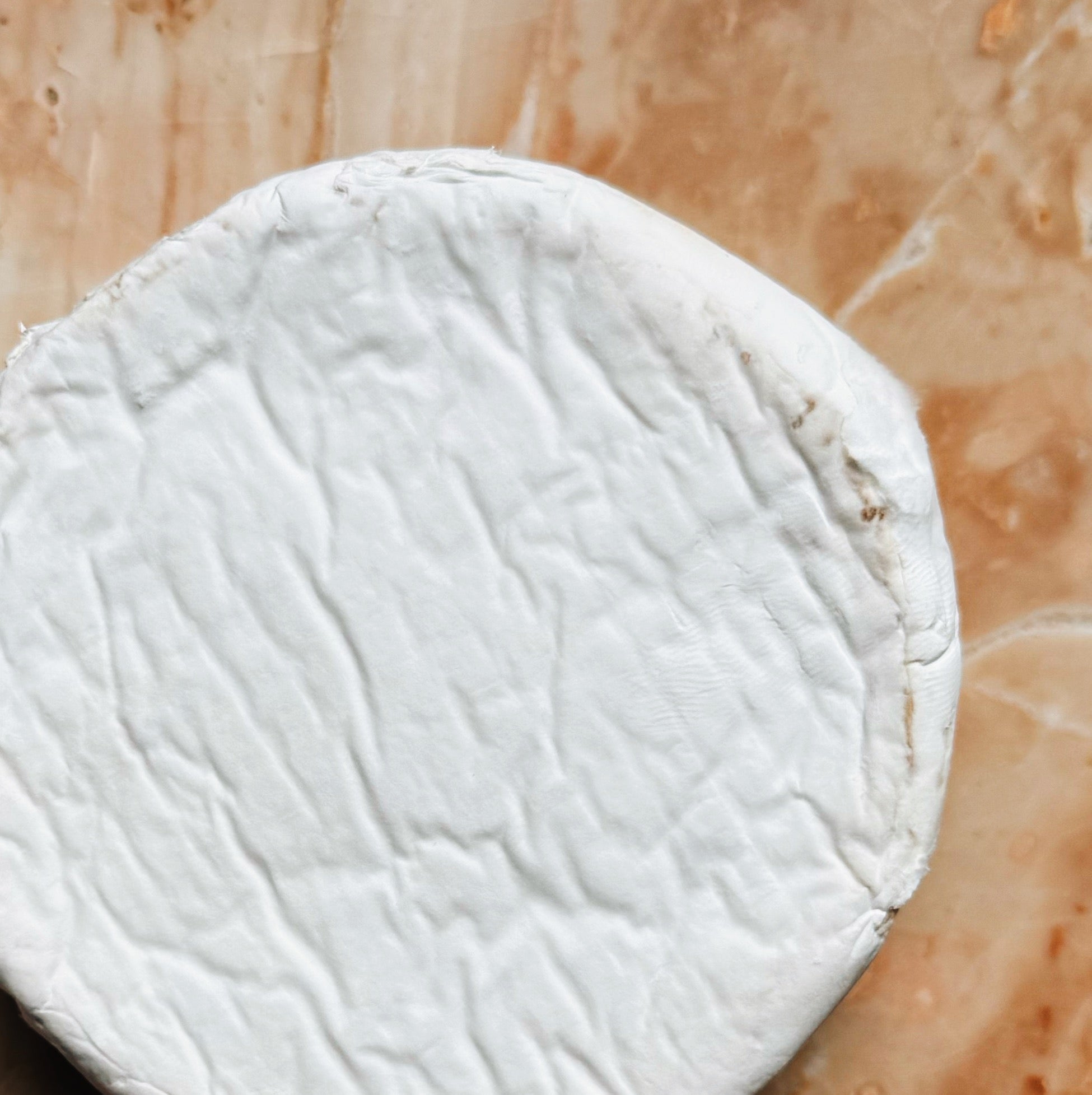 Local Brie Cheese