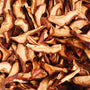 Organic Okanagan Dried Pears