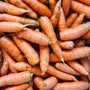 North Arm Farm BC Grown Carrots