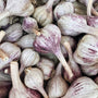 Athiana Acres Local Organic Dried Garlic
