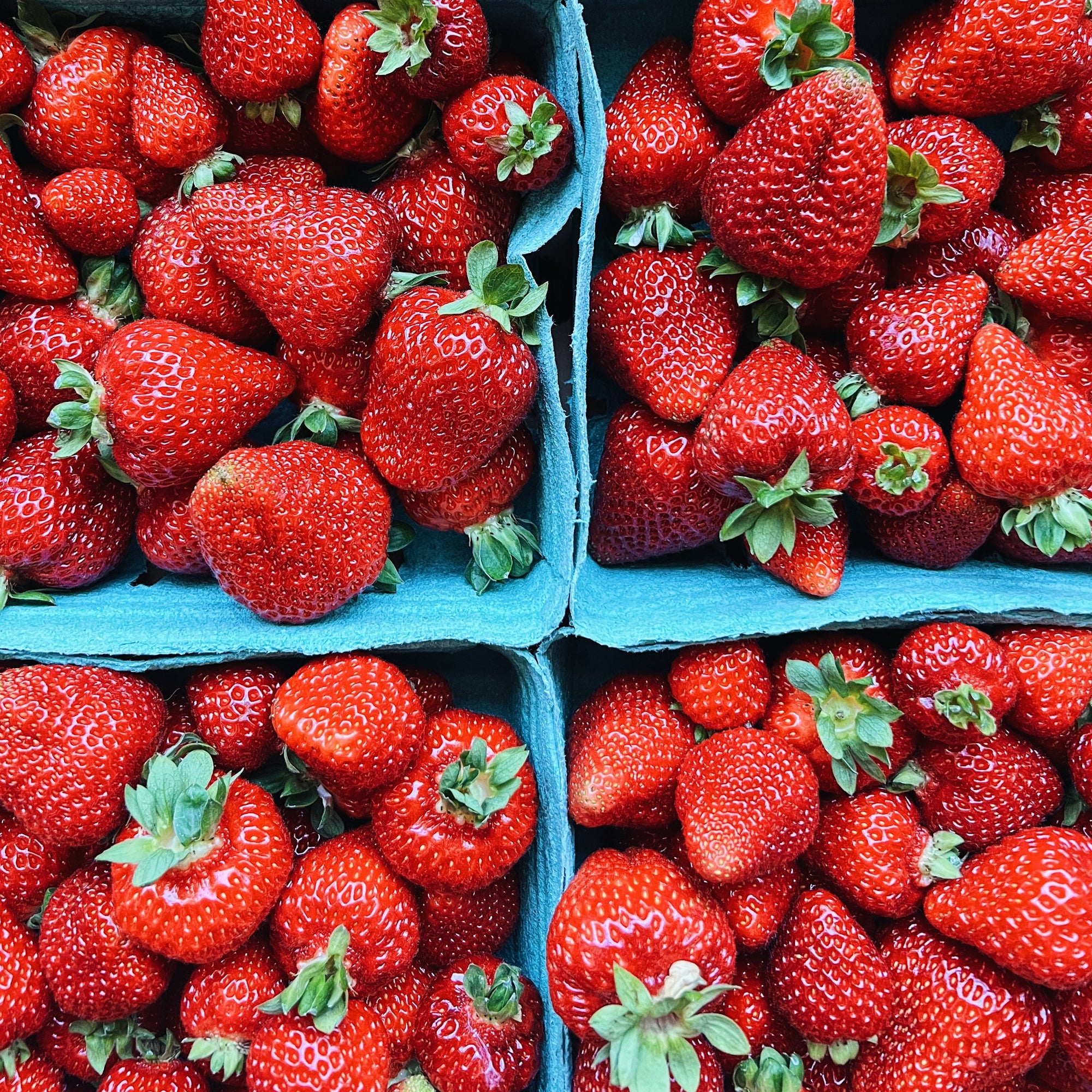 Premium BC Strawberries