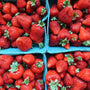 Premium BC Grown Strawberries