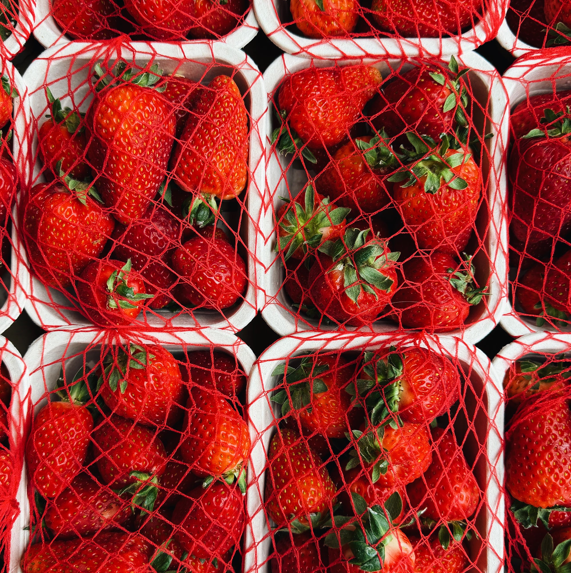 BC Grown Premium Strawberries