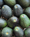 Single Large Hass Avocado