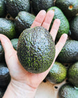 Single Large Hass Avocado