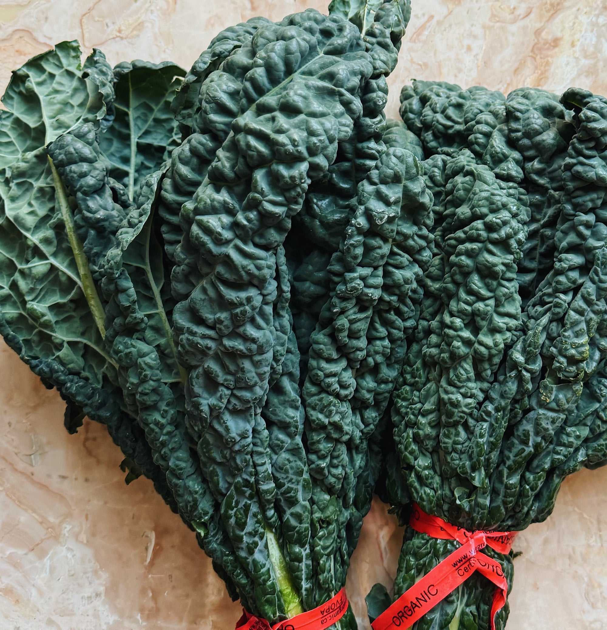 BC Grown Lacinato Kale Bunch