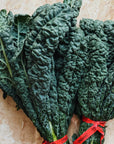 BC Grown Lacinato Kale Bunch