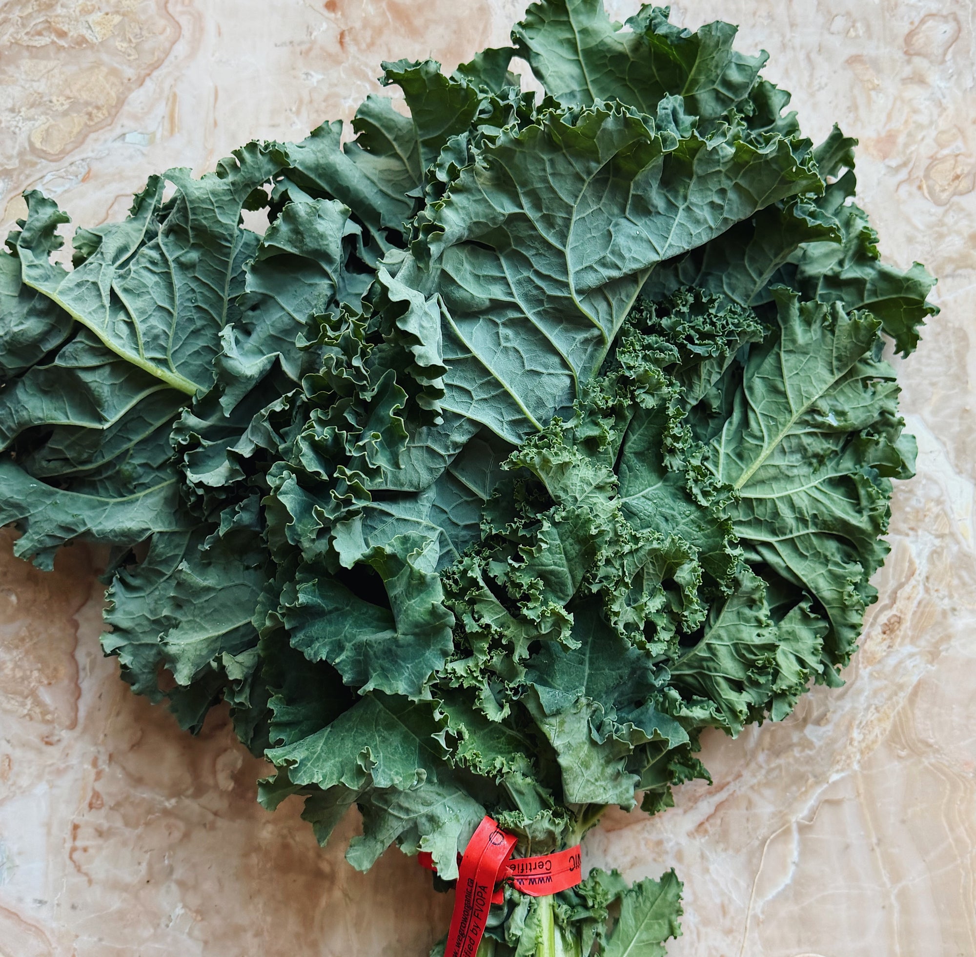 BC Grown Green Curly Kale Bunch