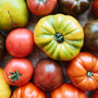 Organic BC Grown Heirloom Tomatoes