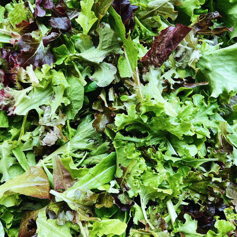 Locally Grown BC Salad Mix