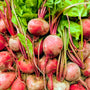 North Arm Farm Gold Beets