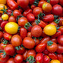 Athiana Acres BC Grown Organic Cherry Tomato Medley