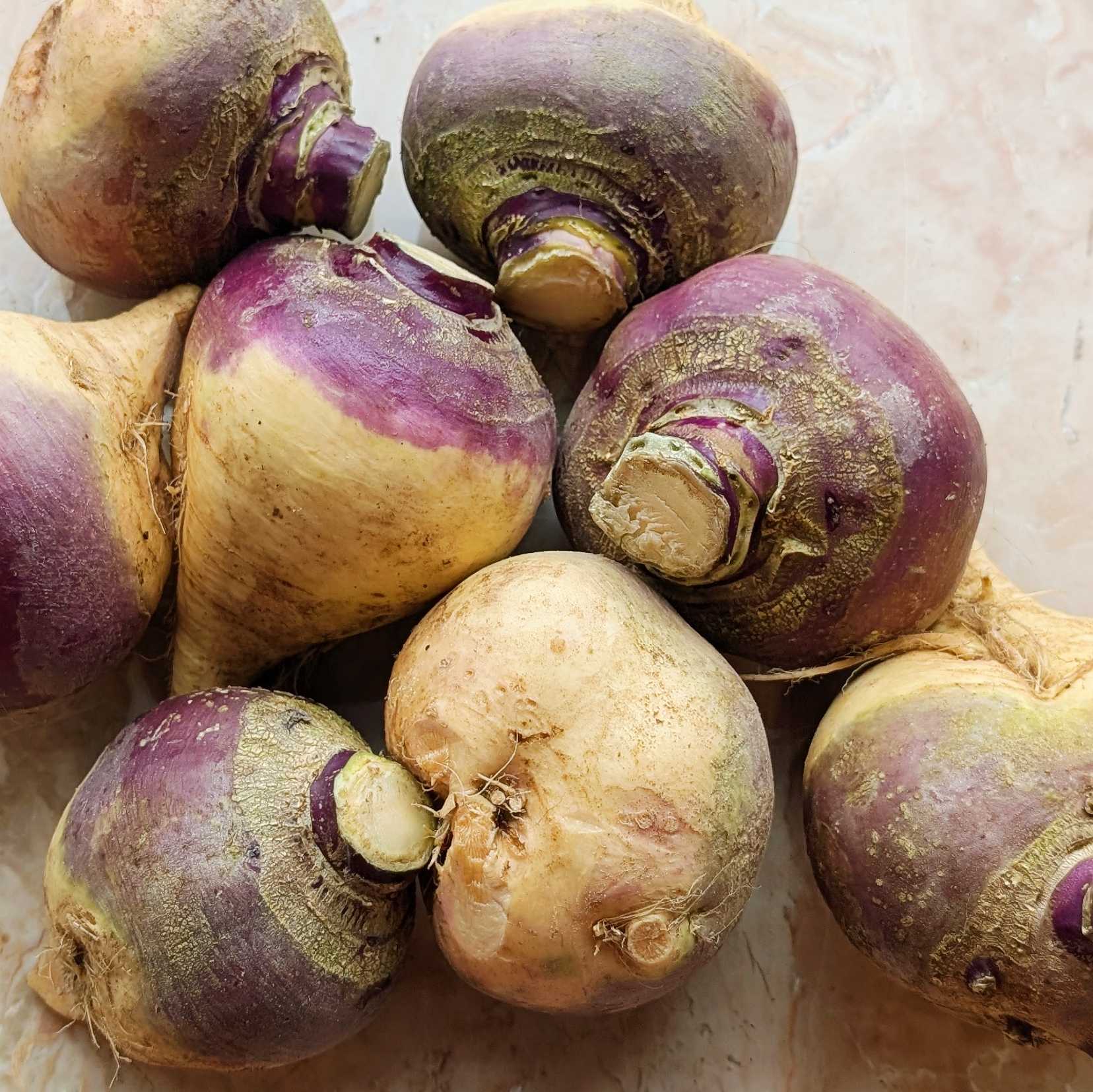 Premium Organic Rutabaga