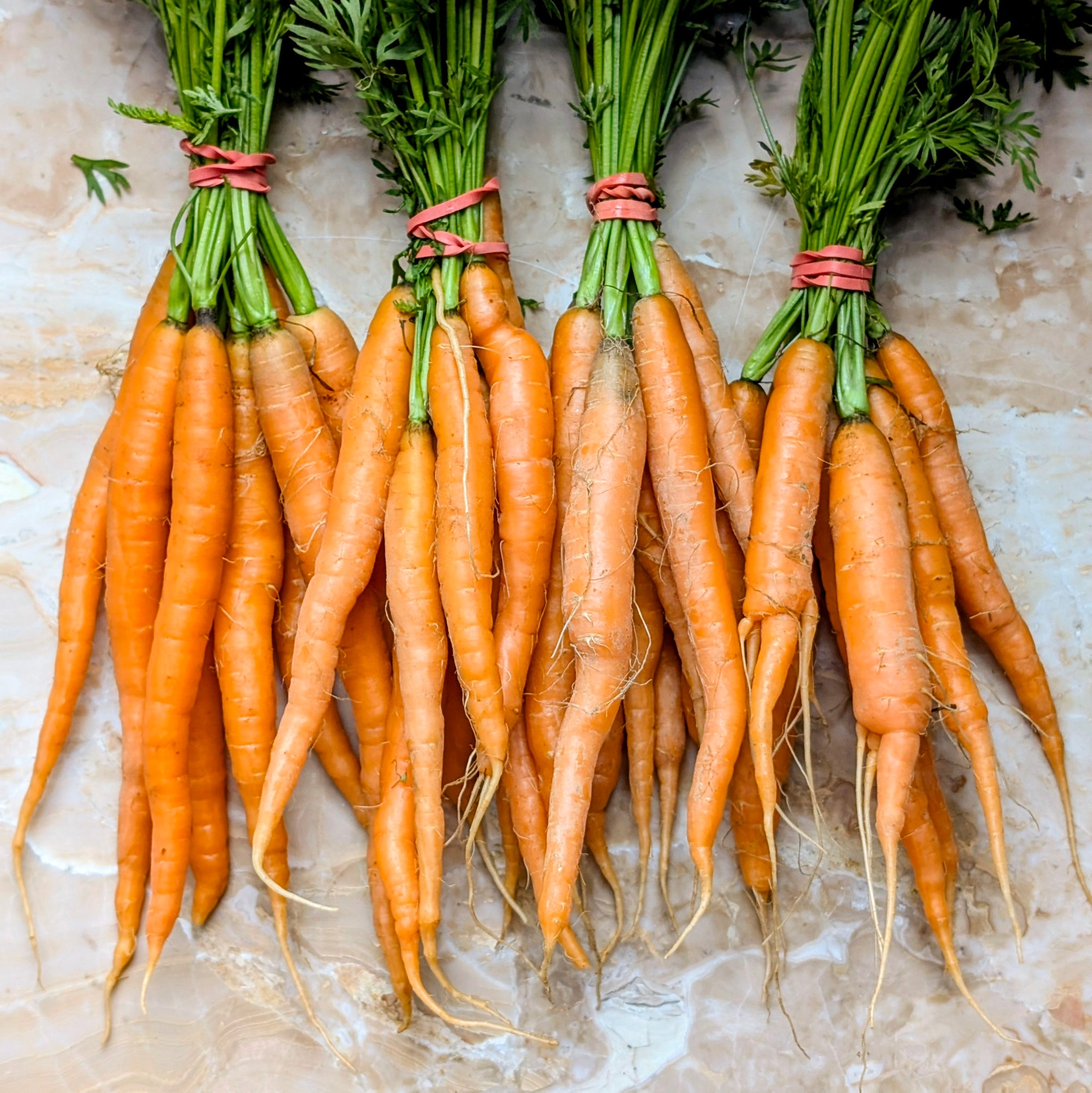 North Arm Farm Organic Baby Carrots