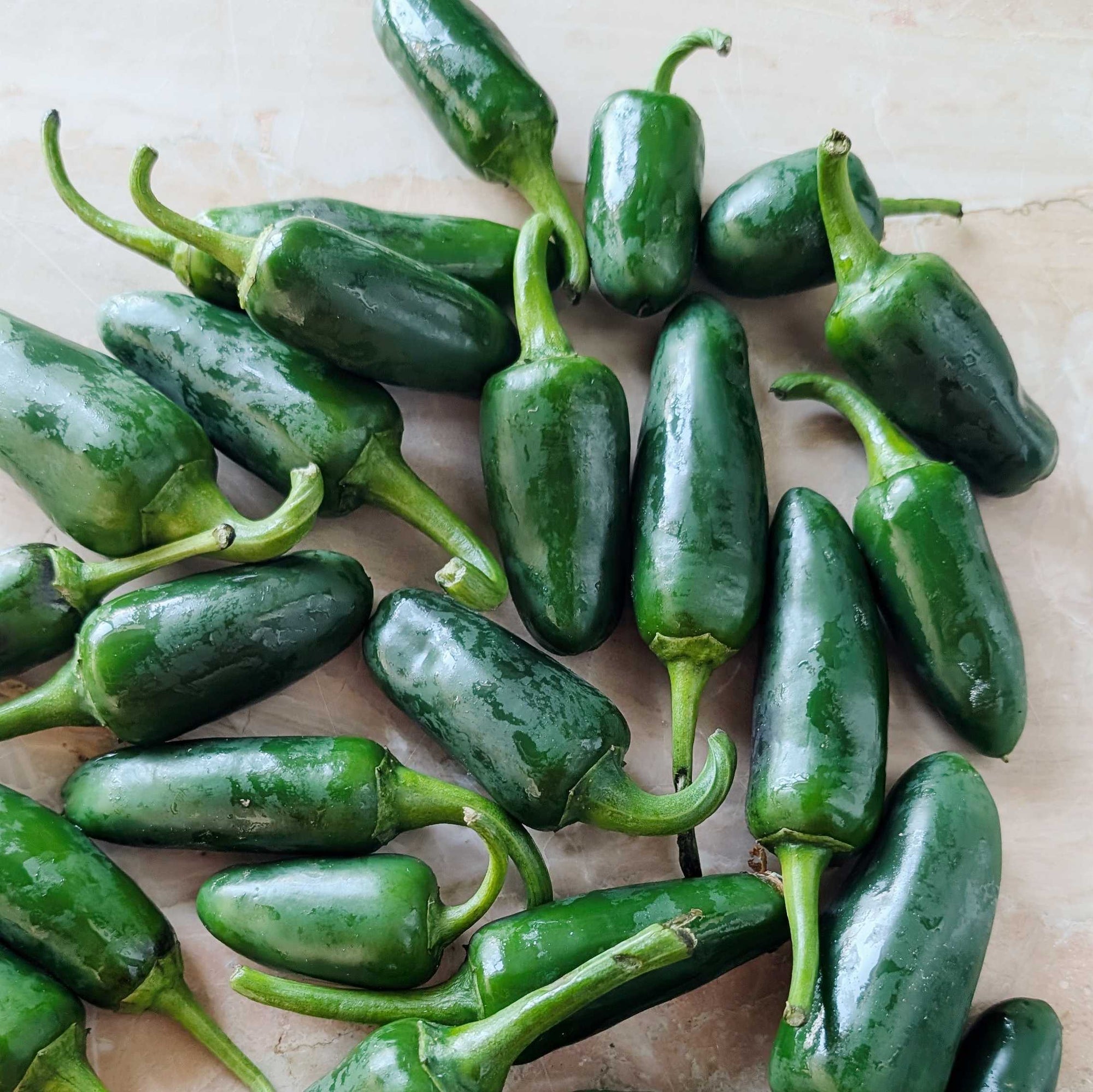 UBC Farm Organic Jalapeño Peppers