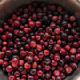 Canadian Organic Cranberries