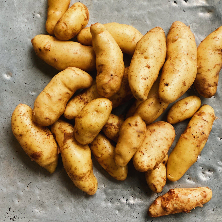 1 LB North Arm Farm Fingerling Potatoes