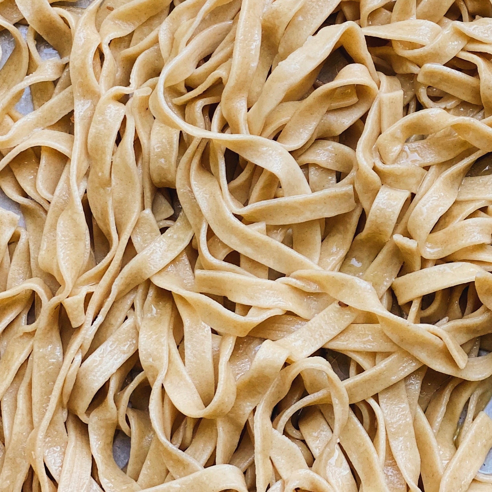 Durum Flour Pasta 