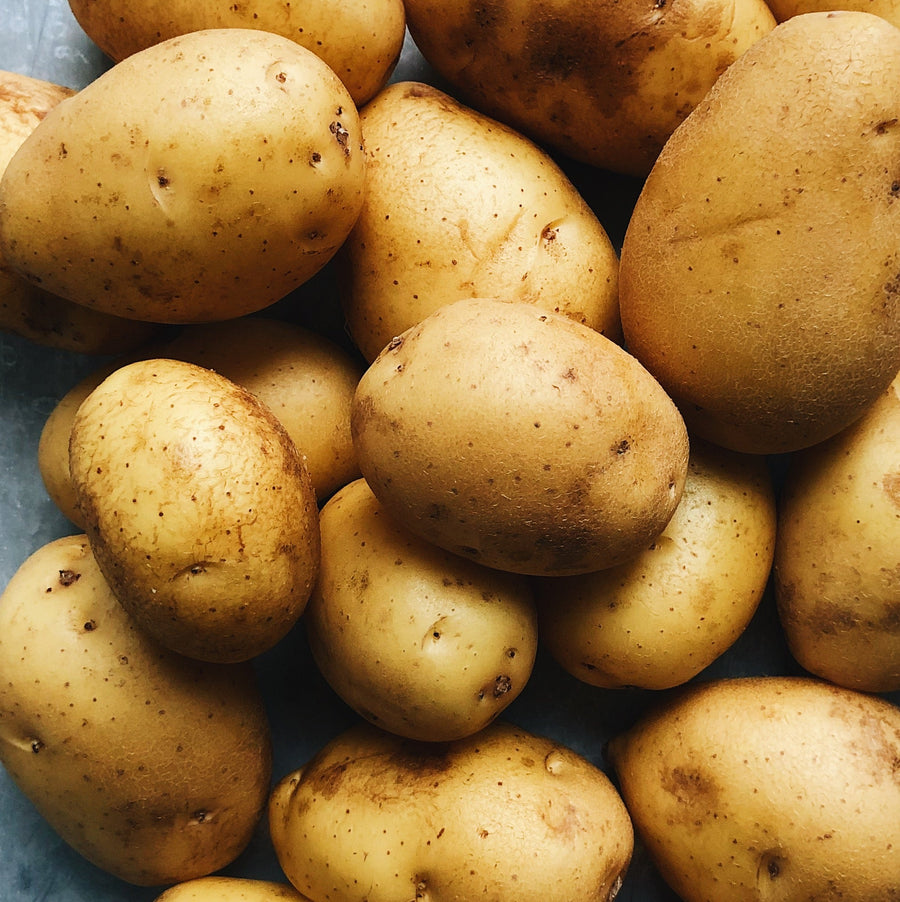 5 LB Pack Organic Yellow Potatoes